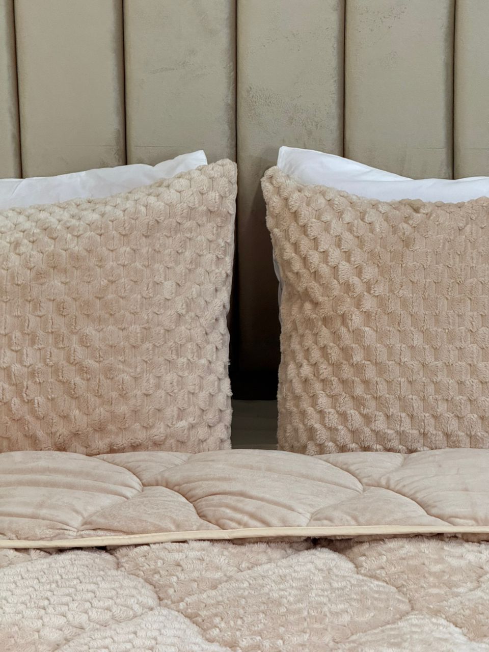 Couette plume Coton
